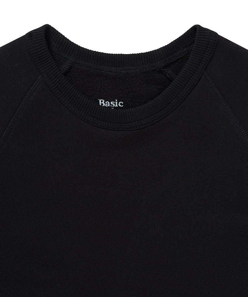 066 Crewneck Sweatshirt Black Sweatshirt _ Basic Rights